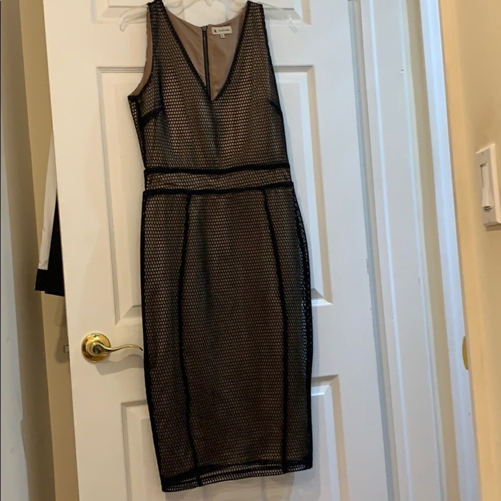 NWOT Ava and Aiden mesh dress